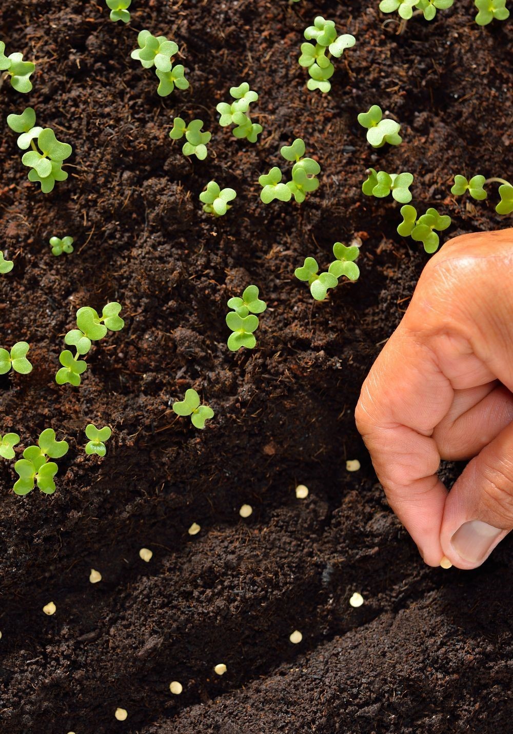 Our Commitment Image