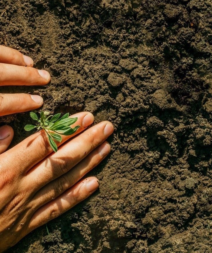 Soil Restoration Insights