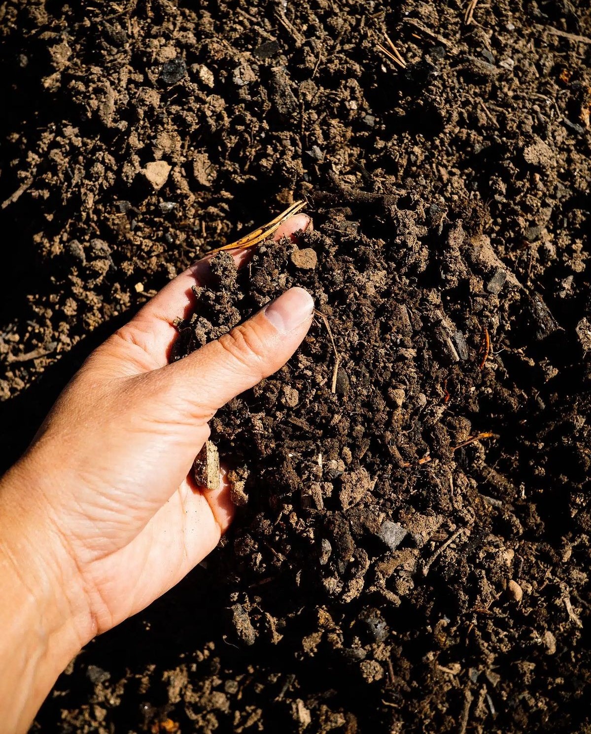 Soil Enrichment Insights